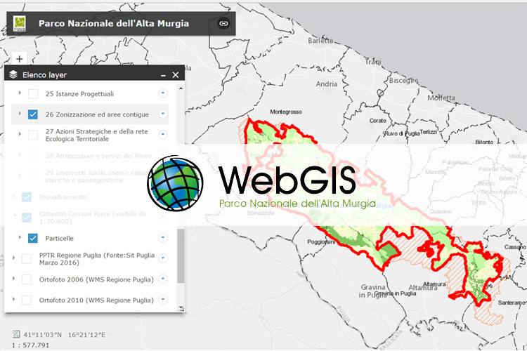 web gis